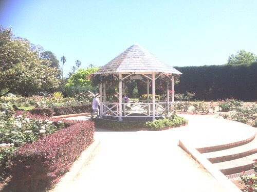 St Kilda Botanical Gardens-圣基尔达必去景点
