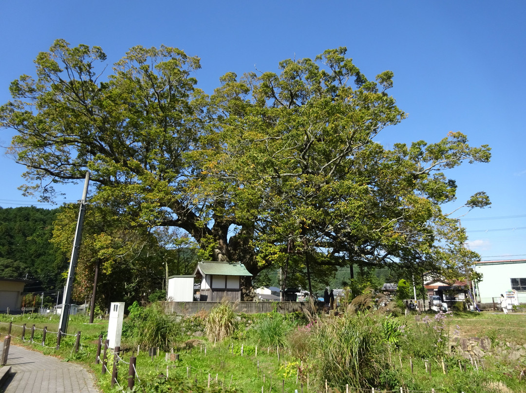 Nomano Okeyaki-能势町必去景点