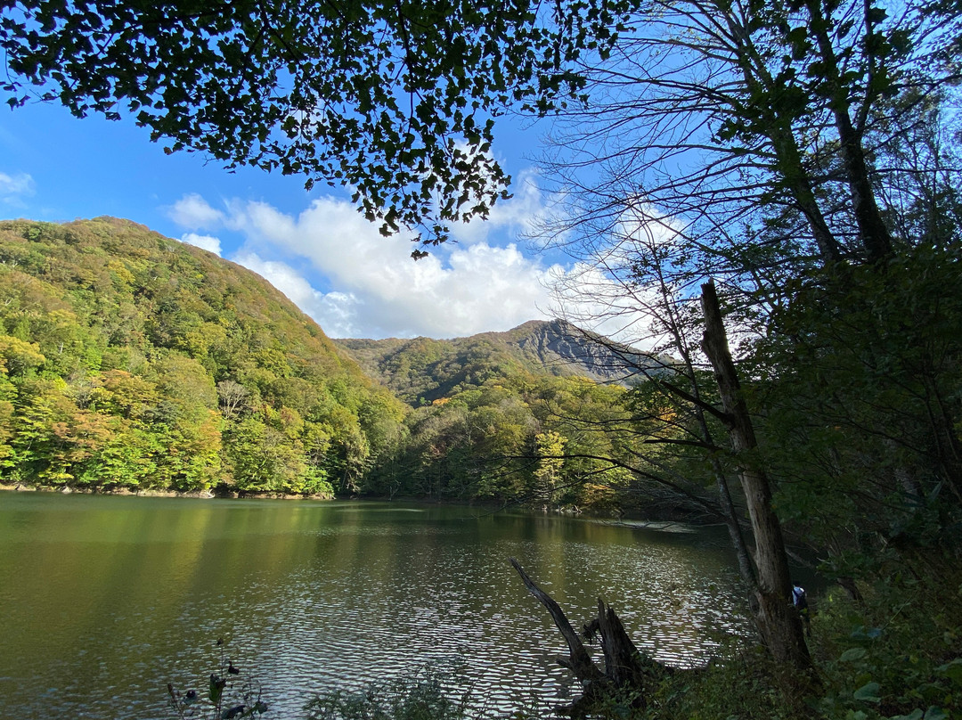 Lake Juniko景点图片