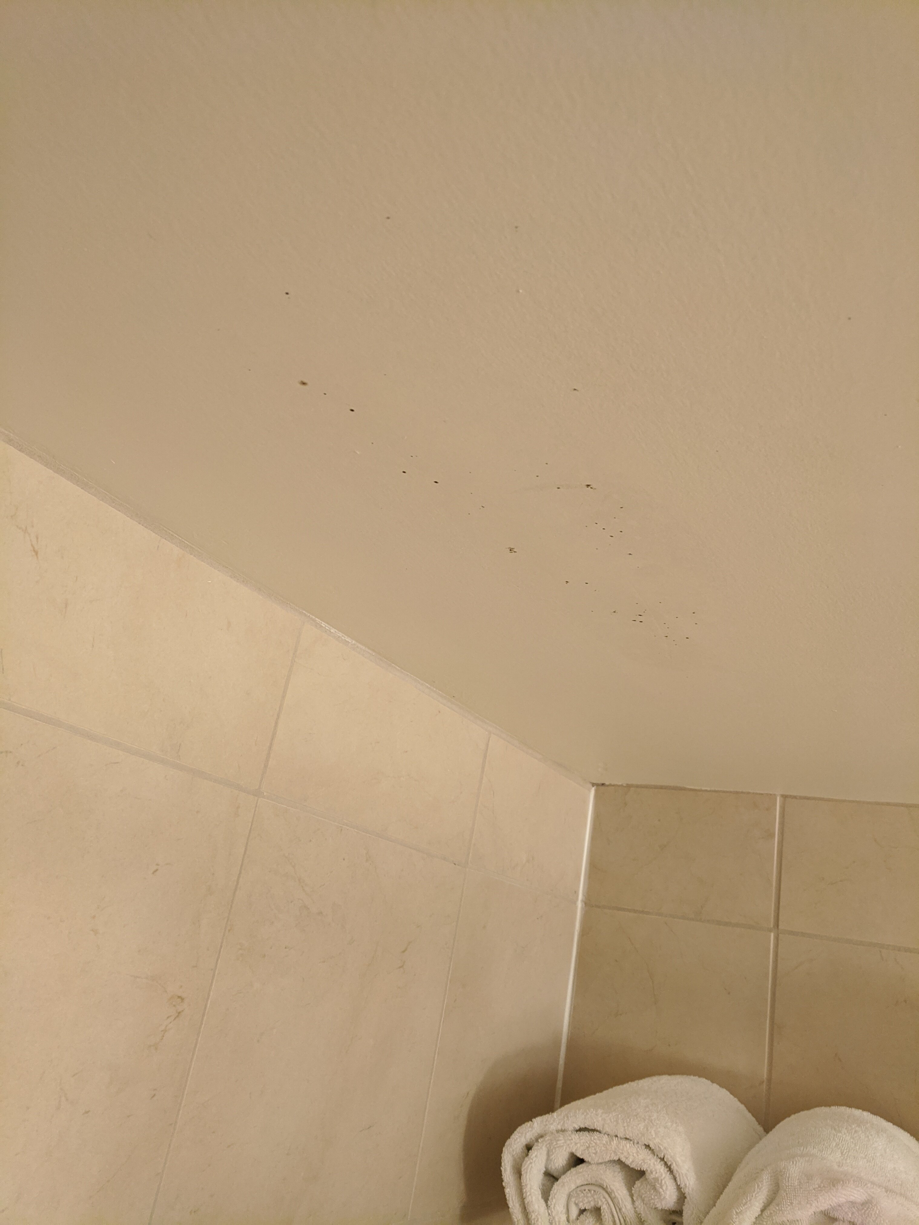 塔拉哈西中央希尔顿花园酒店-浴室