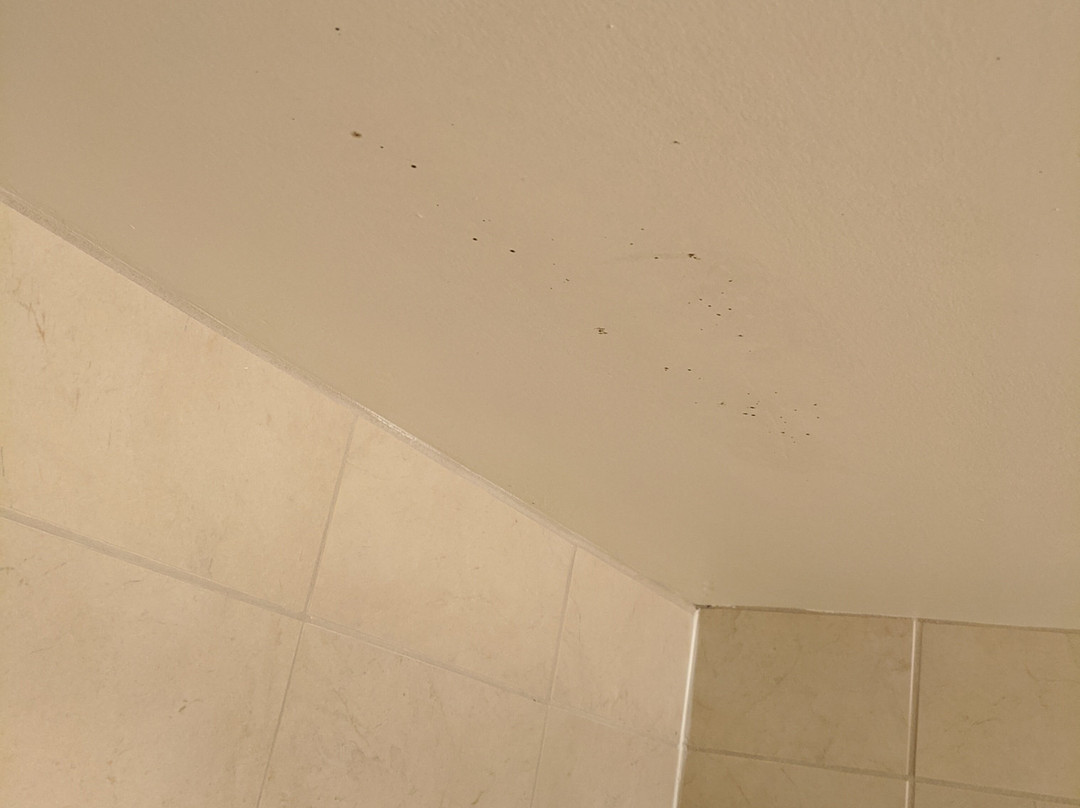 塔拉哈西中央希尔顿花园酒店主图