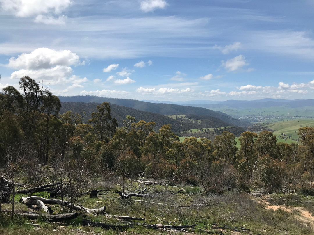Mt Kosciuszko Lookout-Omeo必去景点