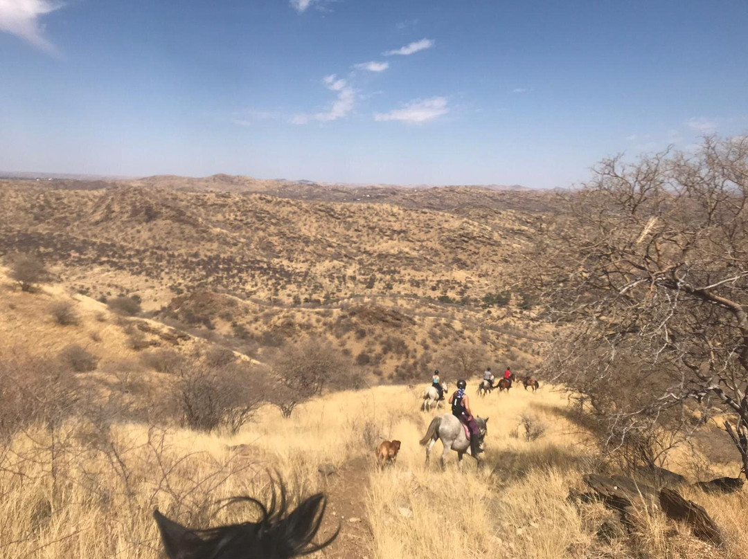 Equitrails Namibia-温德和克必去景点