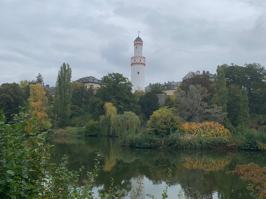 Bad Homburg Palace (Landgraves' Castle & Castle Park)景点图片