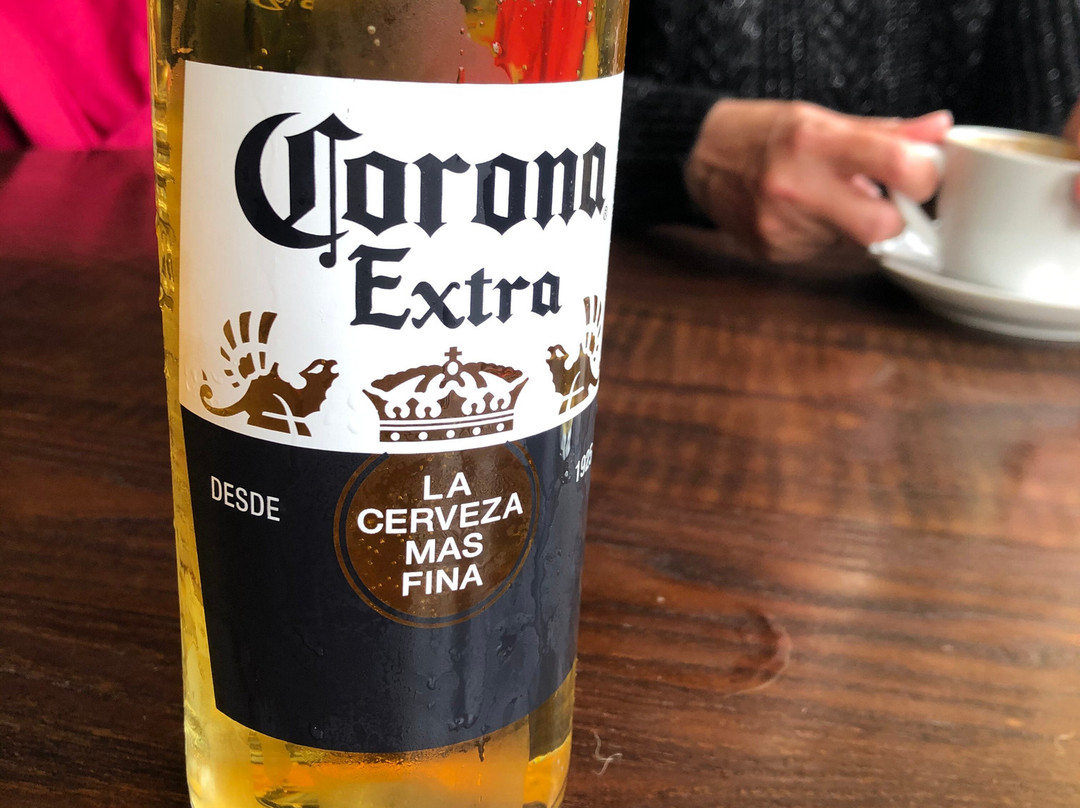 金羊毛酒店主图