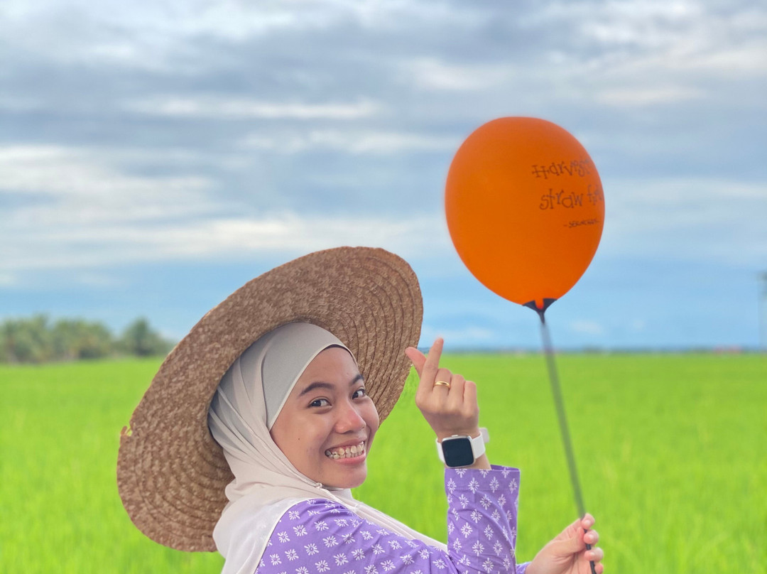 Sekinchan Paddy Field-适耕庄必去景点