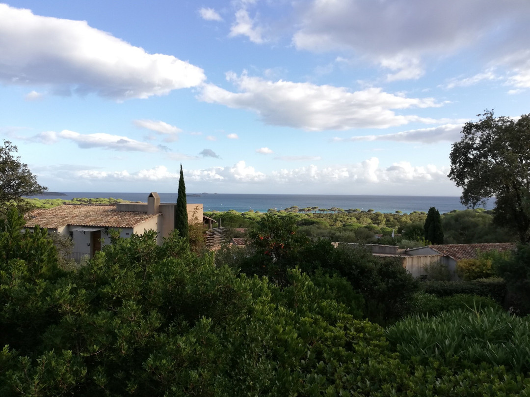 贝尔舍伊巴隆巴热亚酒店主图