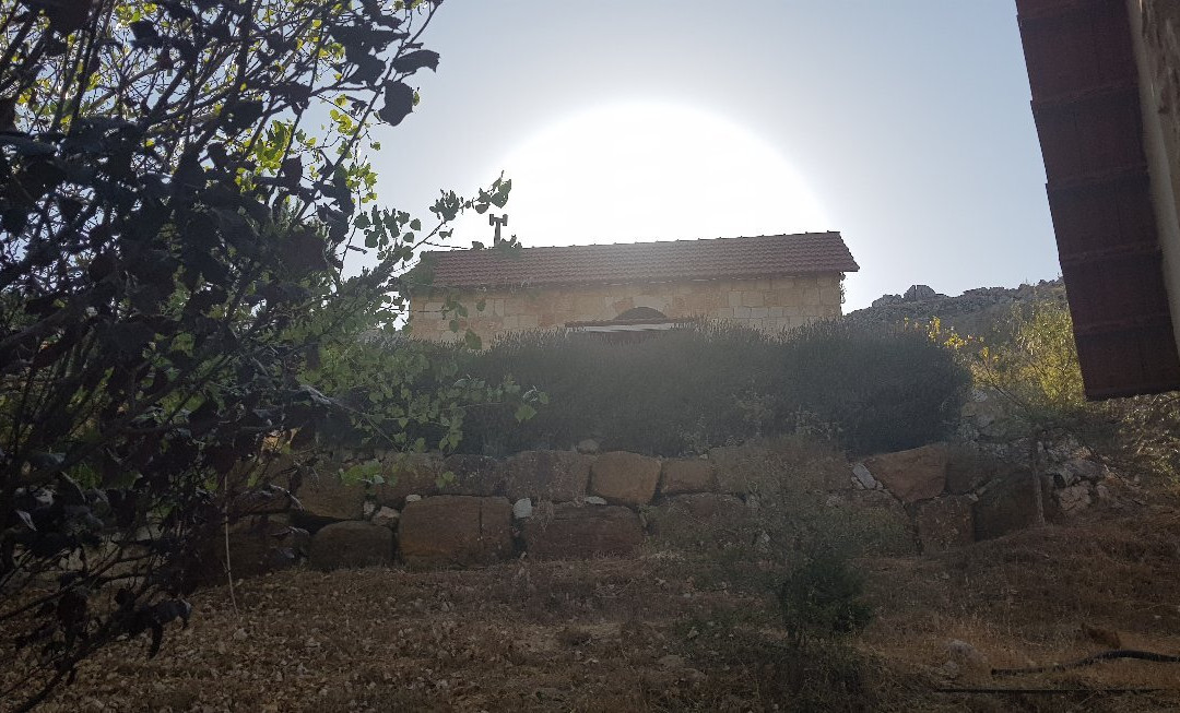 Soha Village Resort主图