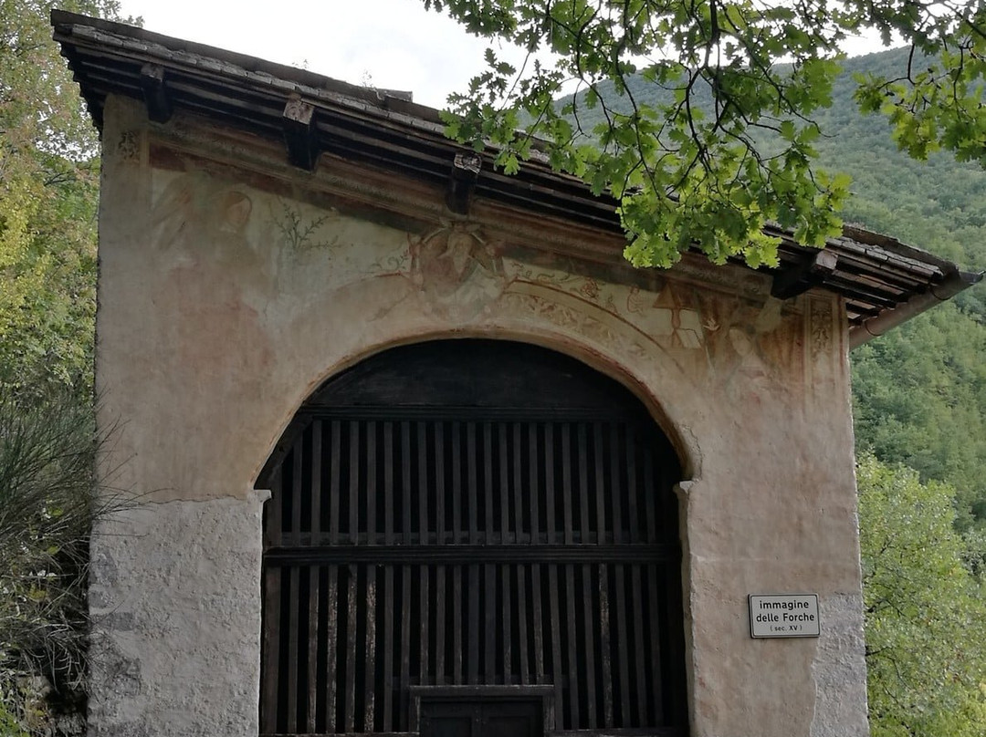 Immagine Delle Forche景点图片