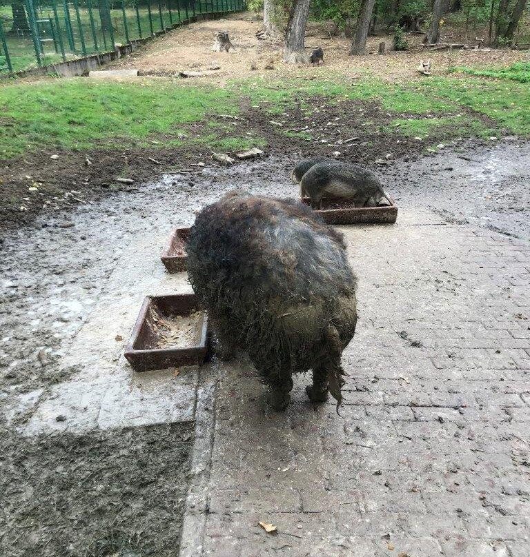 Tierpark Hirschfeld-Hirschfeld必去景点
