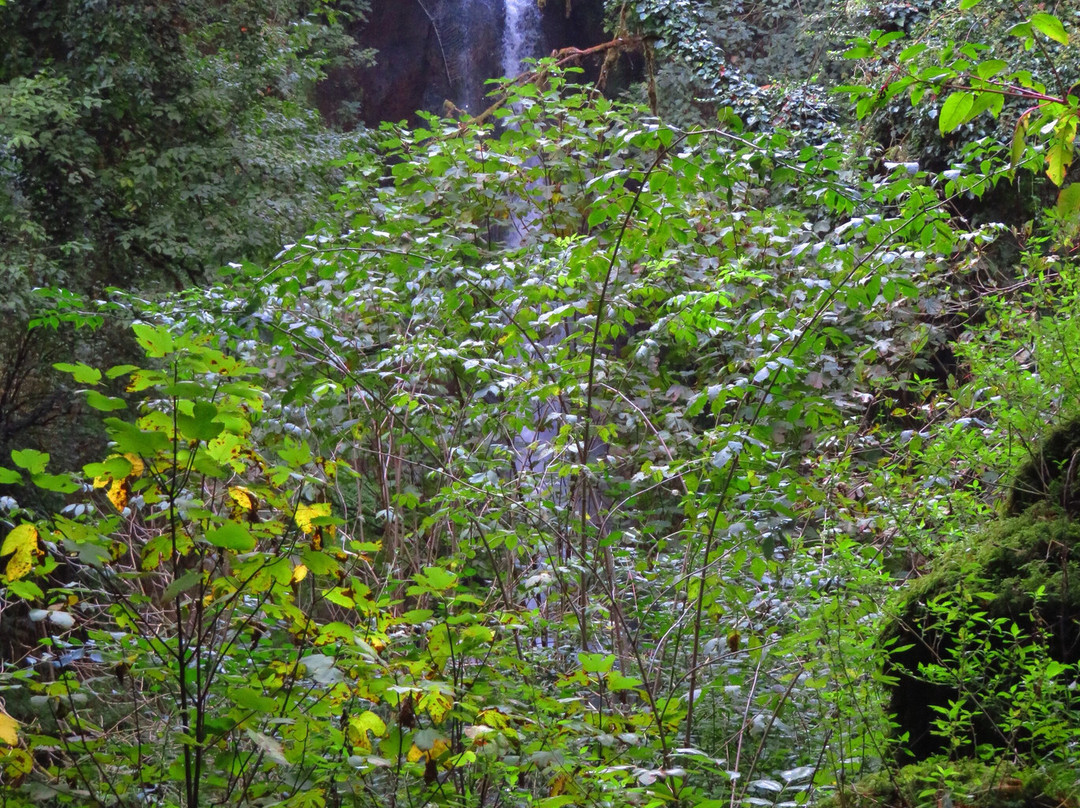 Cascata del Picchio-Nepi必去景点
