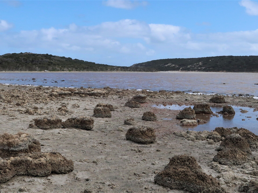 Hamersley Inlet-Hopetoun必去景点