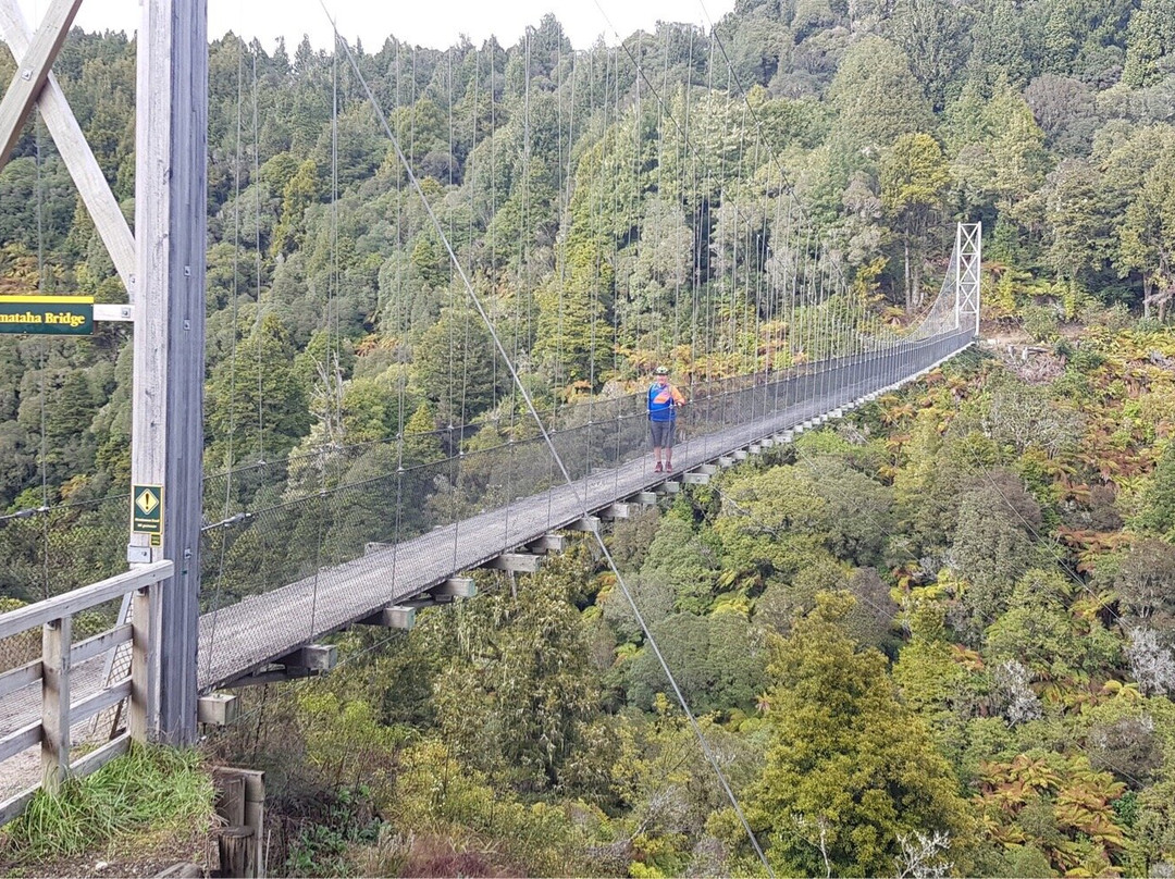 Timber Trail NZ景点图片