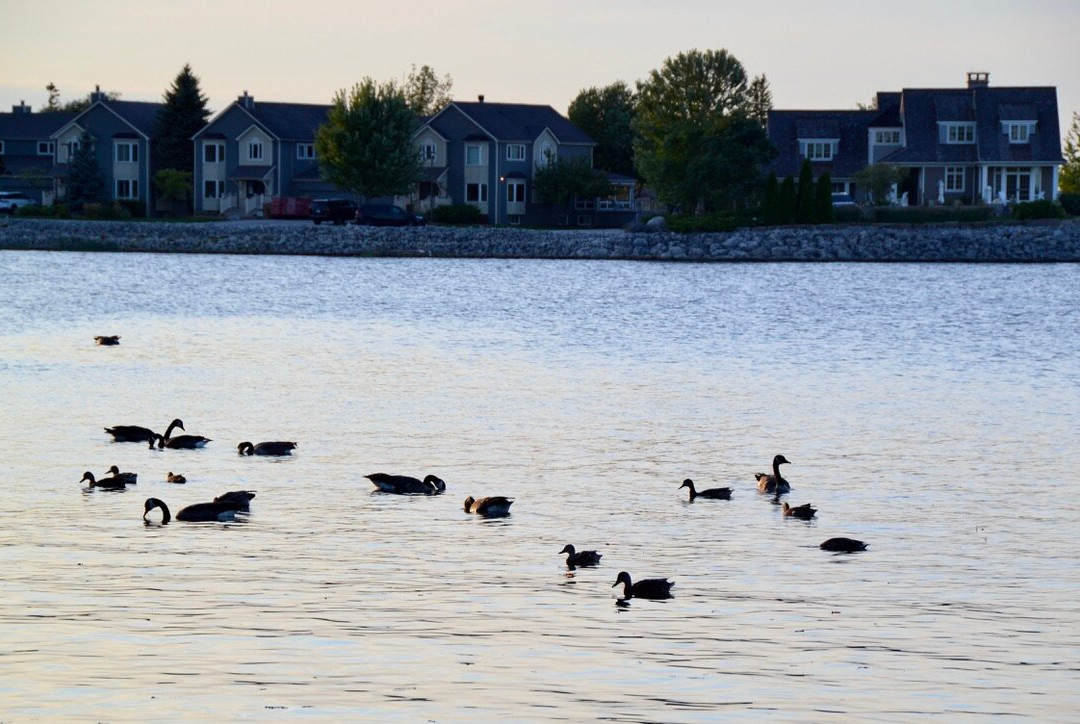 Collingwood Arboretum-科林伍德必去景点