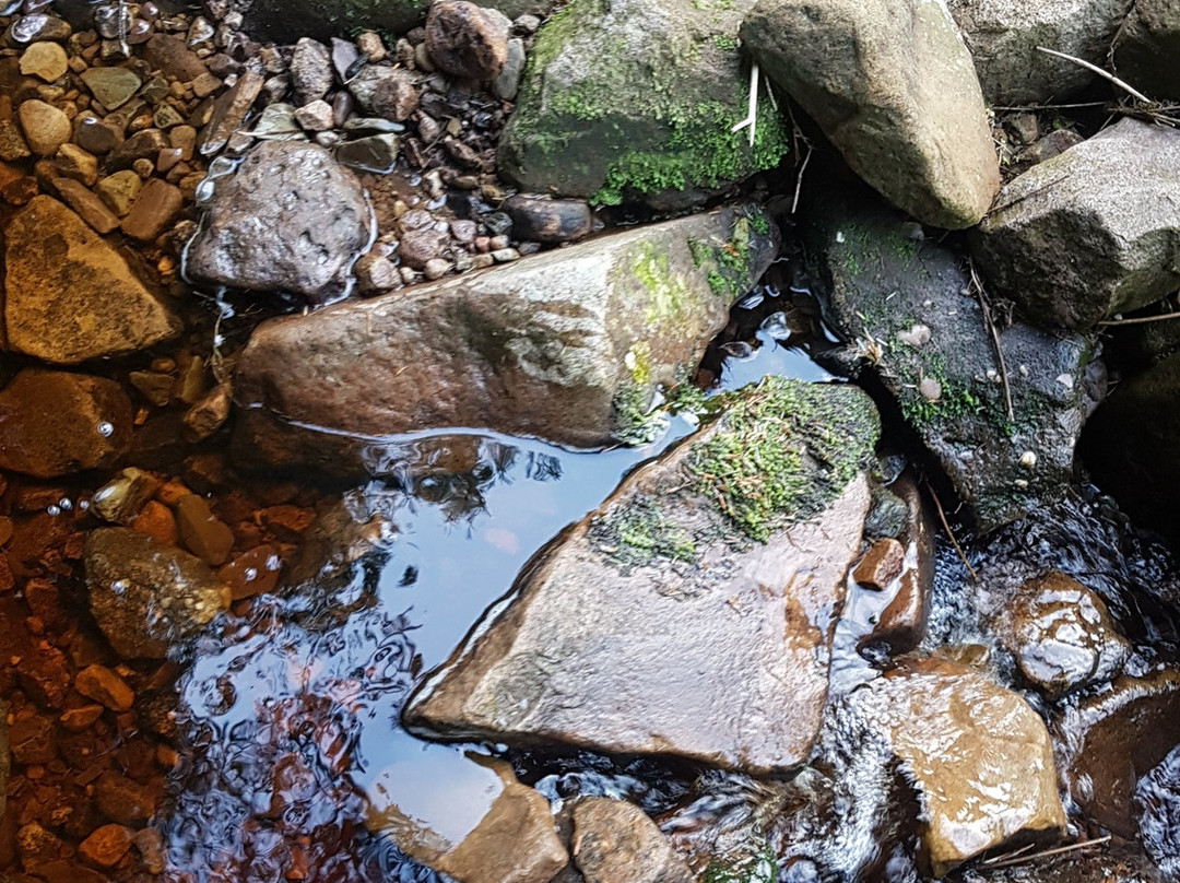 Slieve Bloom Mountains景点图片