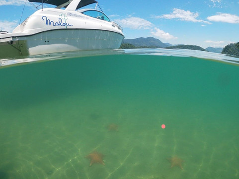 Lanchas Malou-帕拉地必去景点