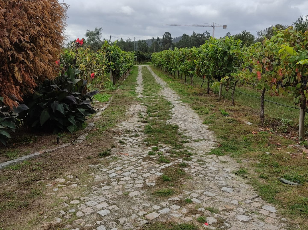 Hotel Rural Quinta da Cruz主图