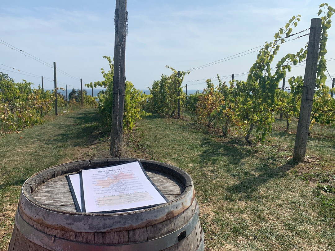 The County Cider Company Tasting Room景点图片