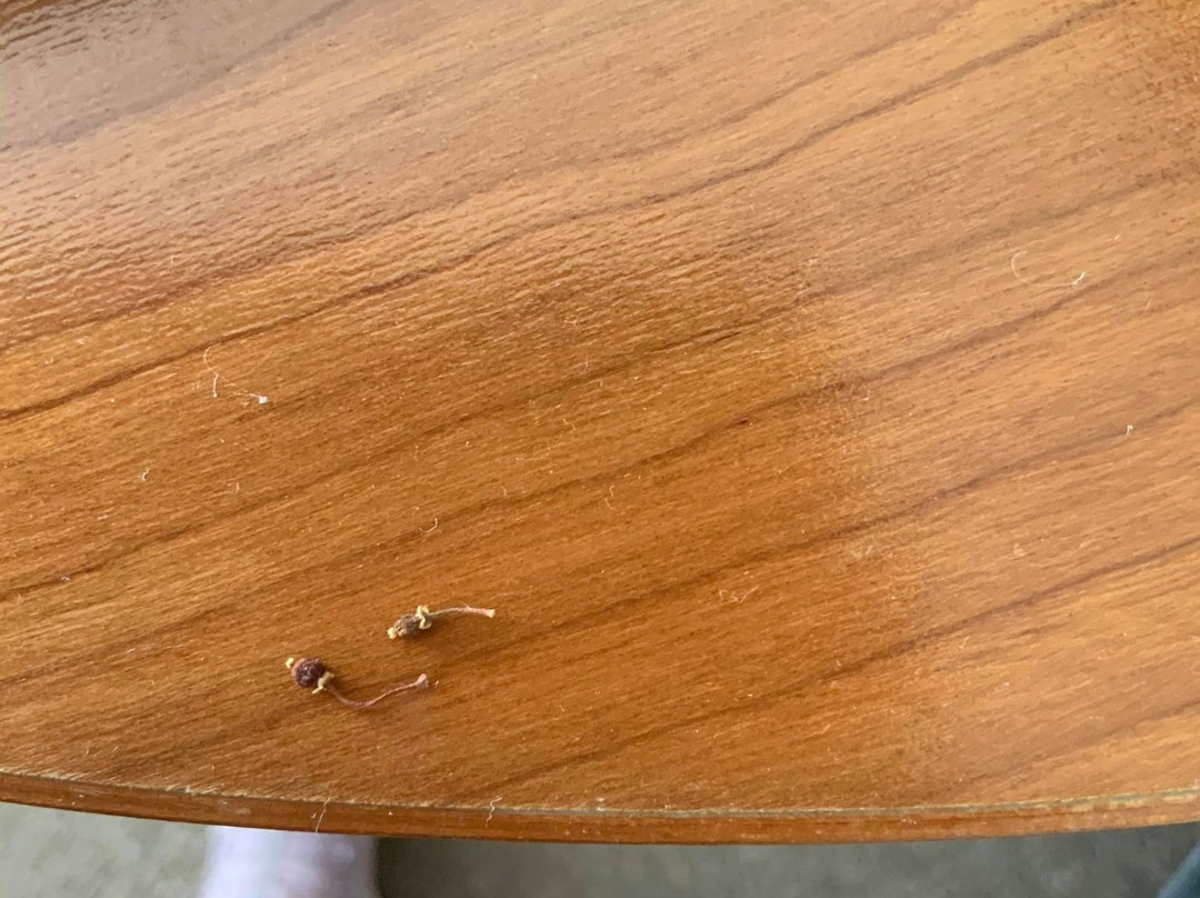 海米提吉公园酒店主图