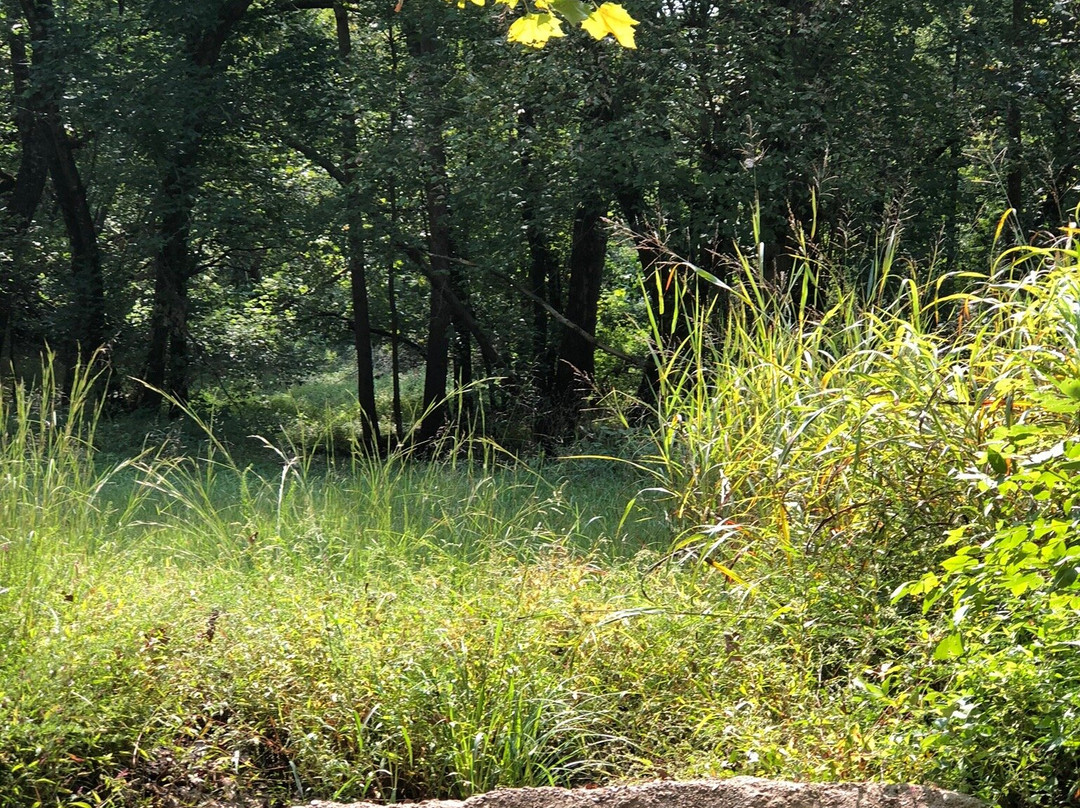 Swinging Bridge-Brumley必去景点