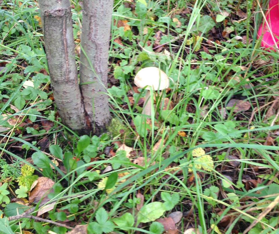 Dobryansky Municipal District旅游攻略图片