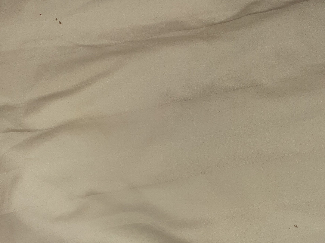 Luminor Hotel Jember by WH主图