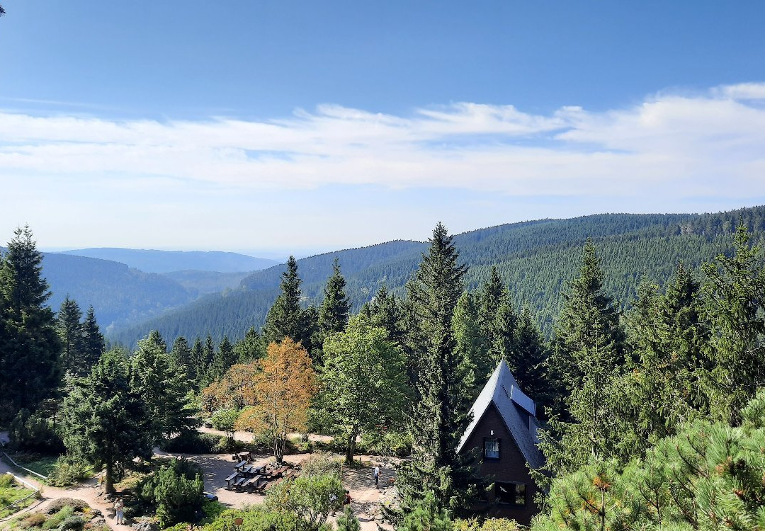 Rennsteiggarten Oberhof-Oberhof必去景点