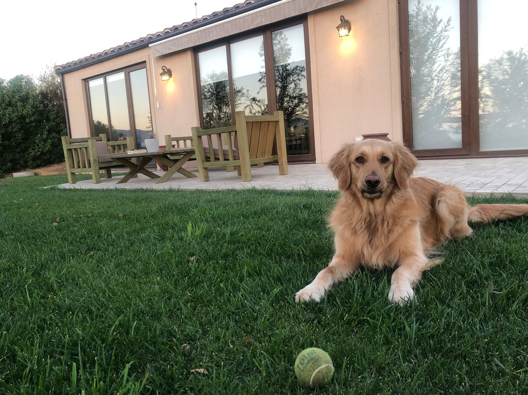 Villas Toscanas主图