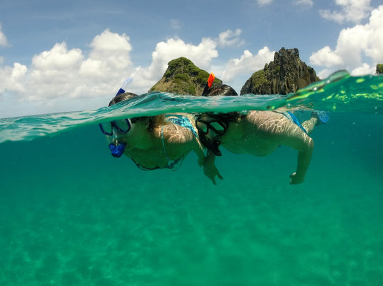 Gray Line Brazil-费尔南多-迪诺罗尼亚群岛必去景点