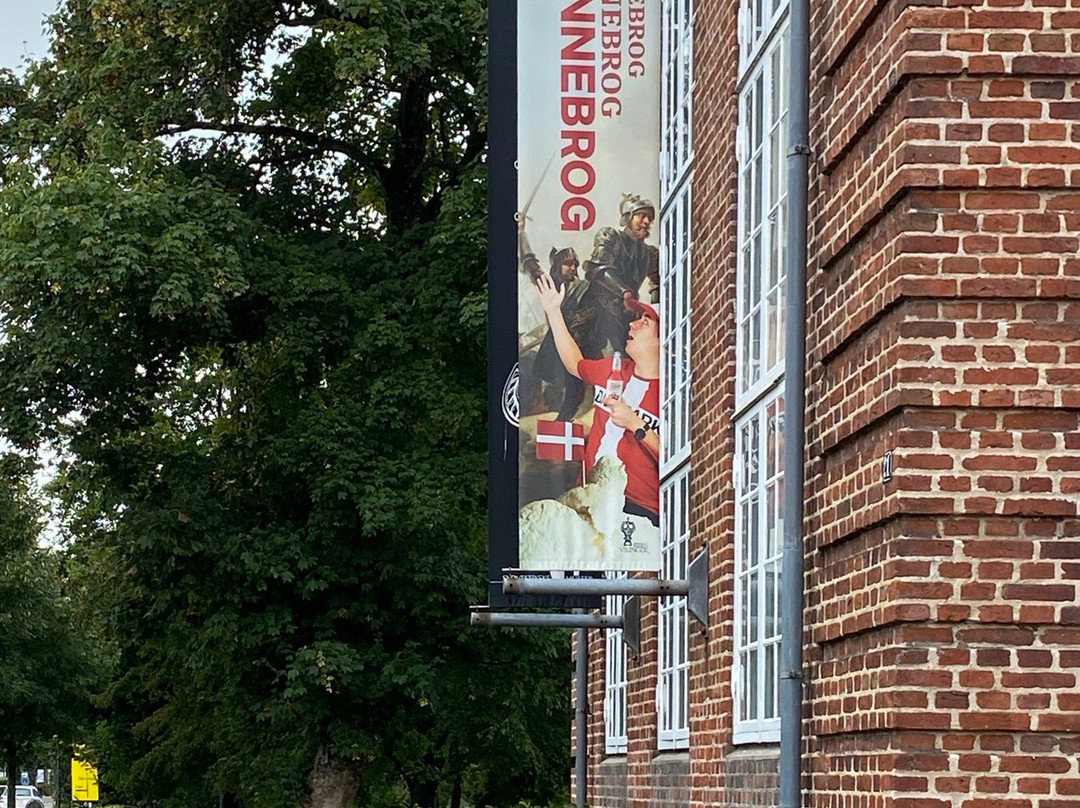 Museet Ribes Vikinger景点图片