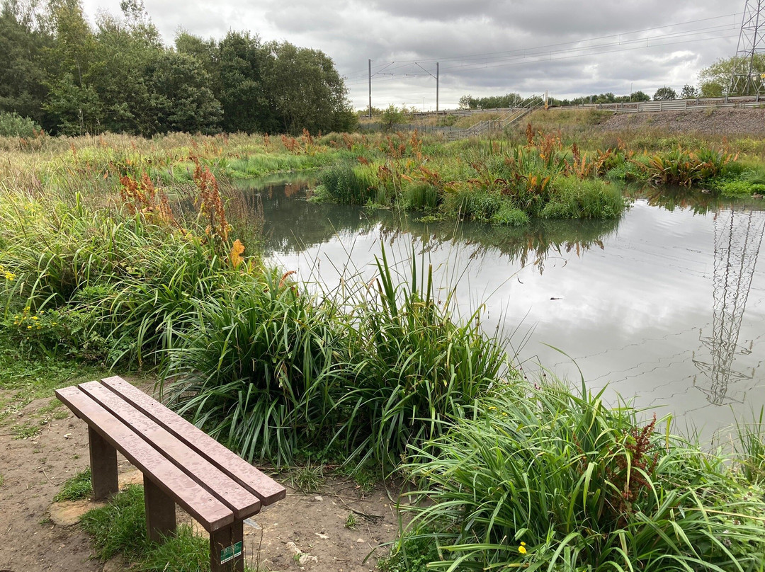 Monkton Fell-Hebburn必去景点