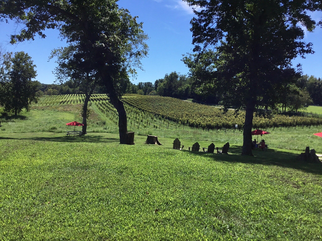 The Vineyards at Dodon景点图片