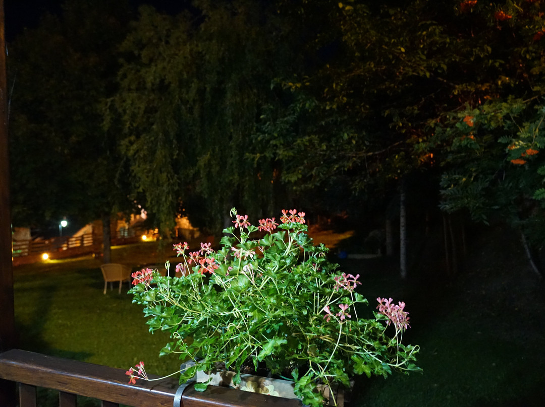 El Xalet De Taull Hotel Rural主图