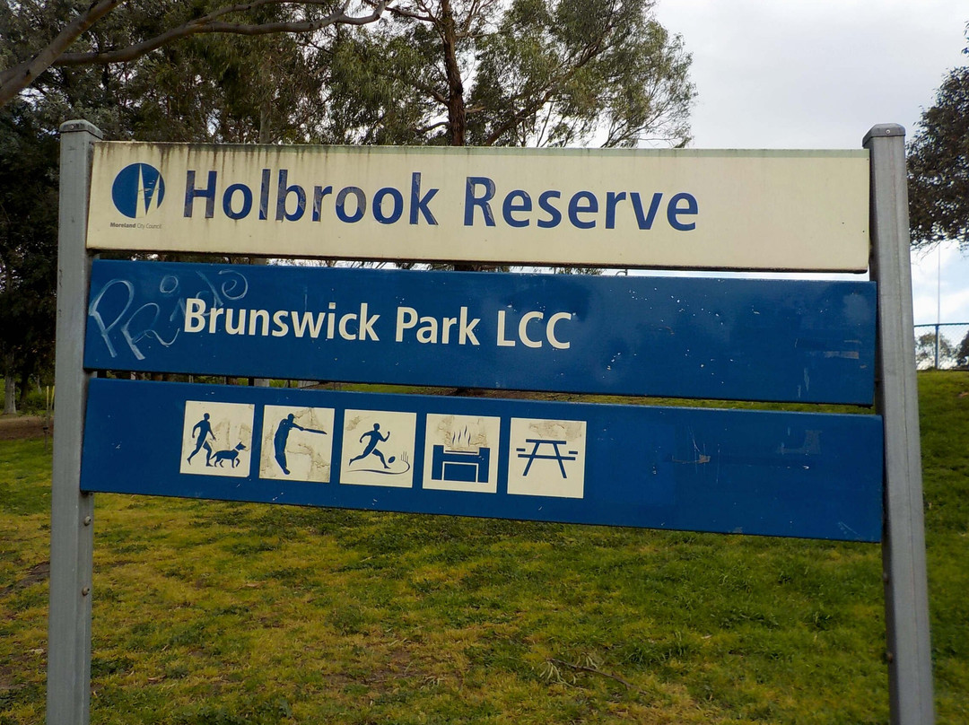 Holbrook Reserve景点图片