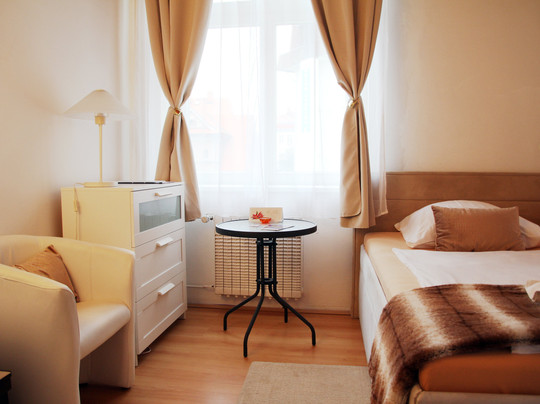 Penzion Alfa Podebrady主图