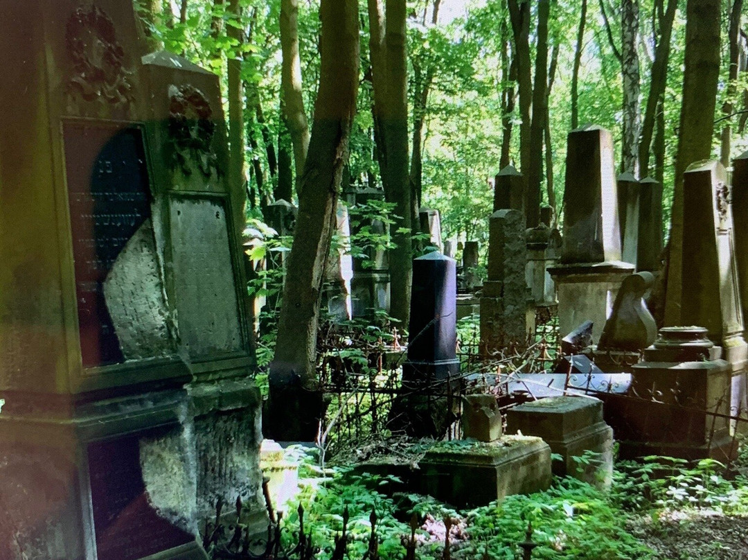 Jewish Cemetery (Cmentarz Zydowski)景点图片