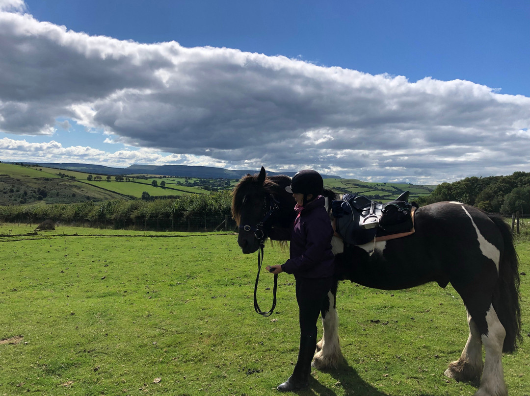 Freerein Riding Holidays-Clyro必去景点