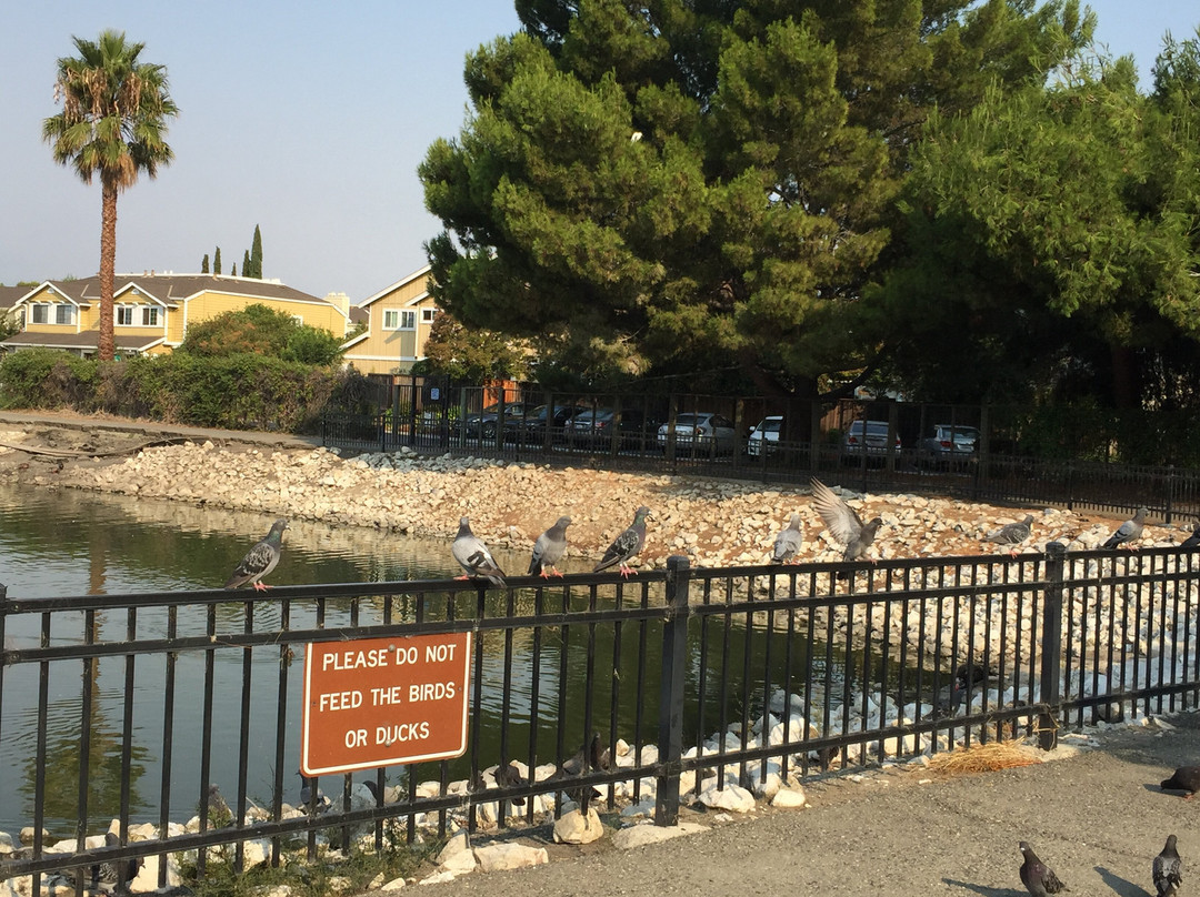 Hidden Lake Park-米尔皮塔斯必去景点