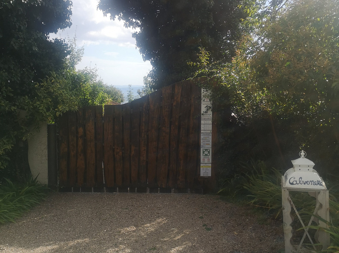 Calvene旅游攻略图片