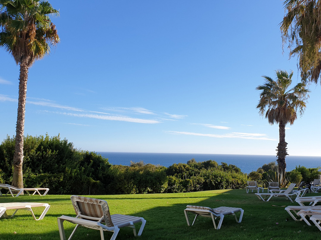 Pestana Palm Gardens主图