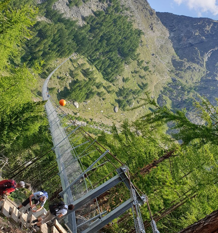Charles Kuonen Suspension Bridge景点图片