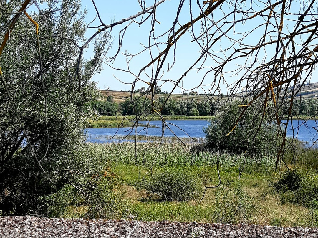 Pantano di Pignola景点图片