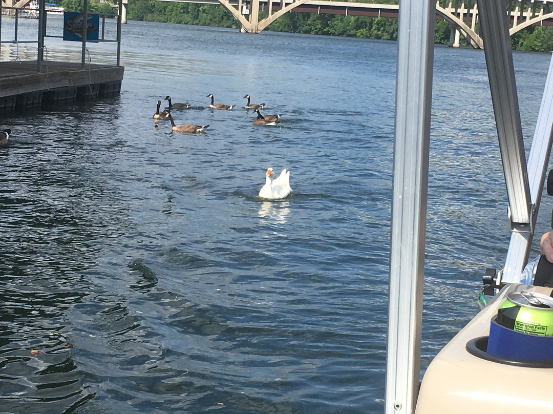 Scotty's Trout Dock-布兰森必去景点