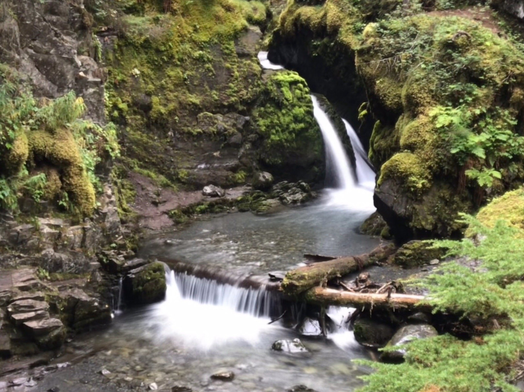 Virgin Creek Falls Trail景点图片