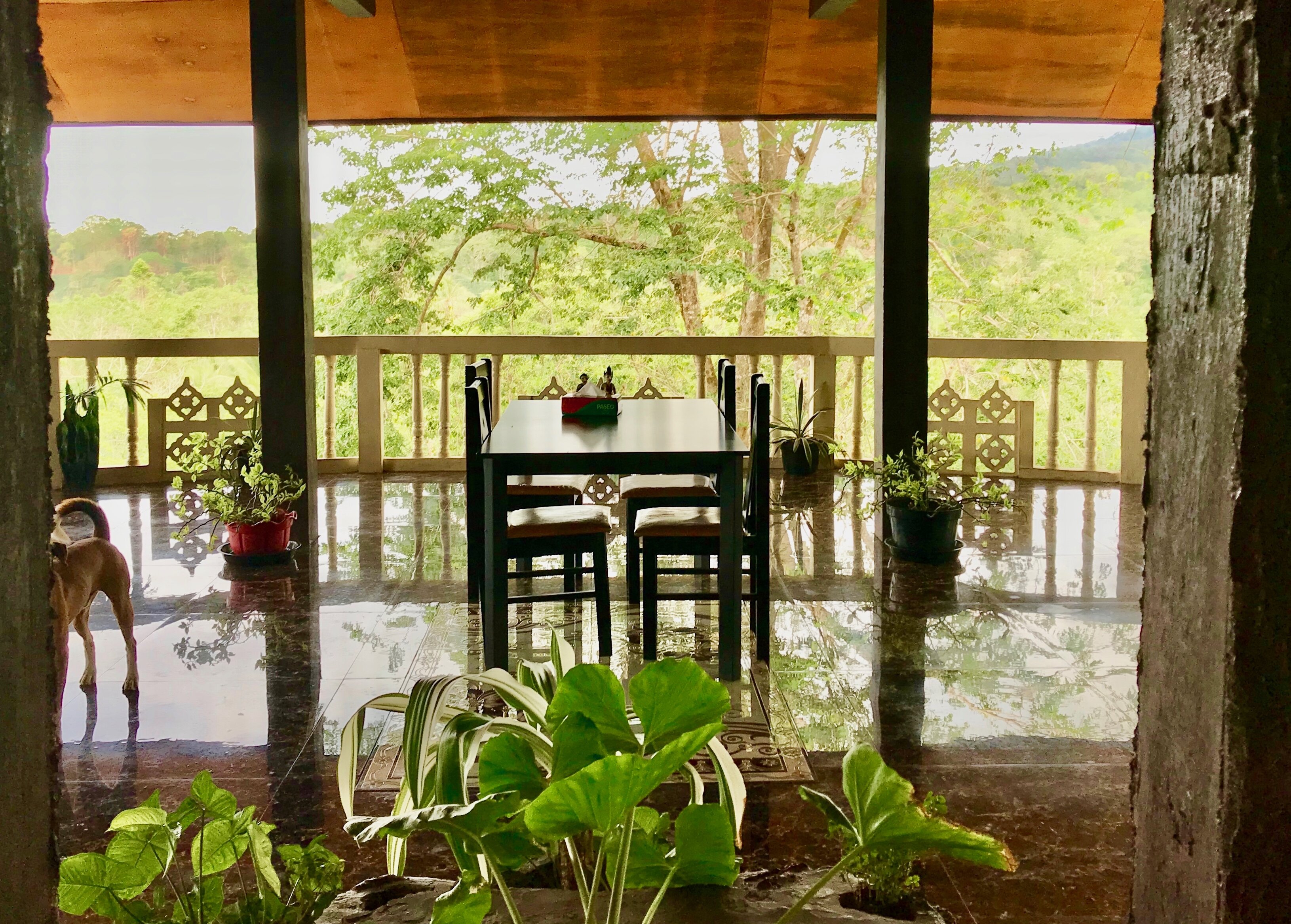 Tangkoko Sanctuary Villa-餐饮
