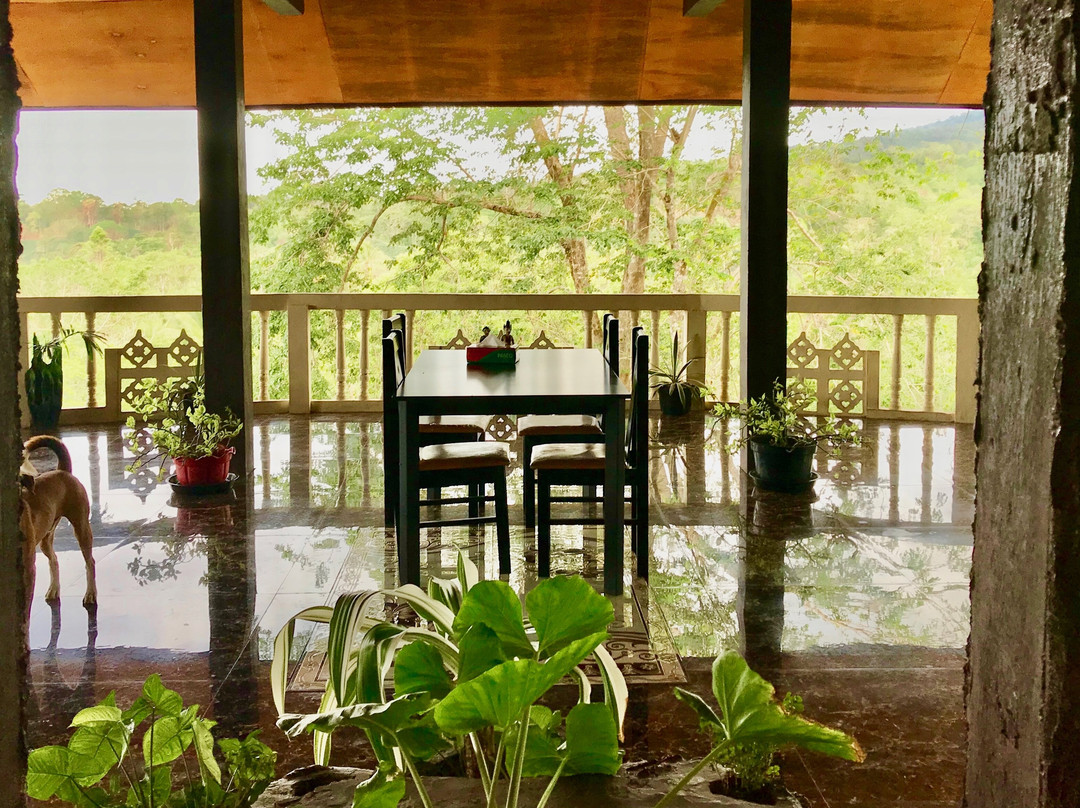 Tangkoko Sanctuary Villa主图