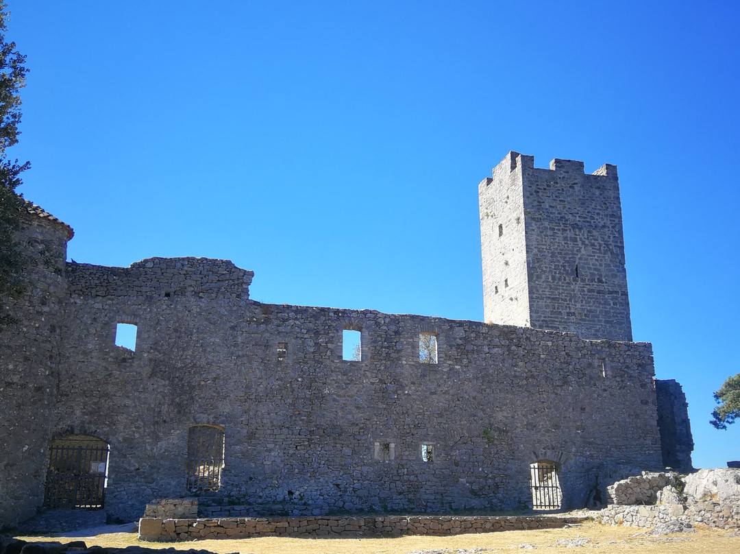 Chateau de Tornac景点图片