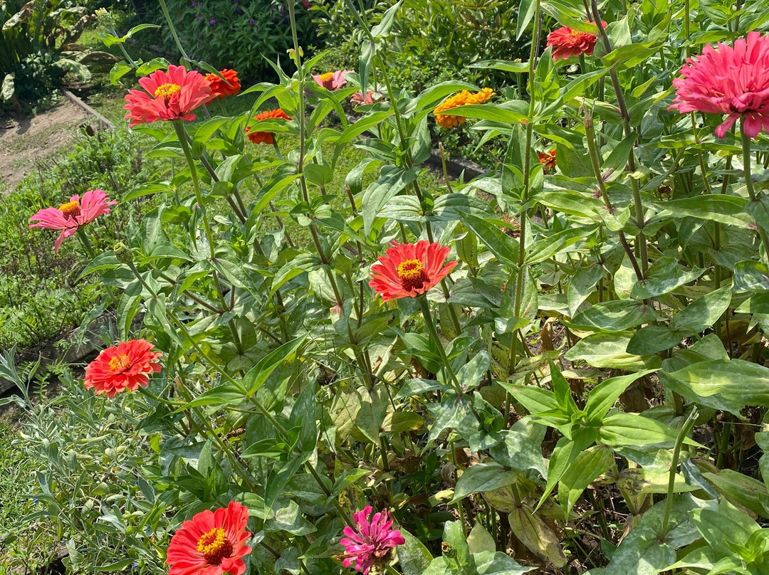 Watkins Mill State Park-Lawson必去景点