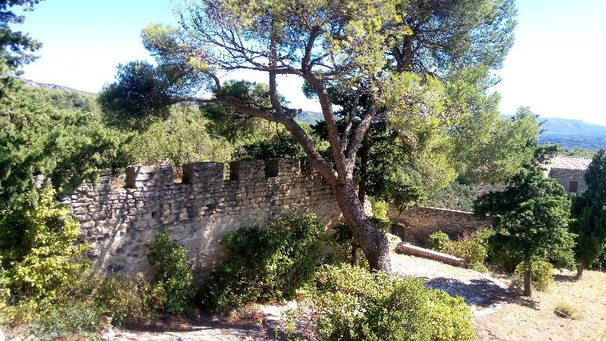 Château de Saumane景点图片