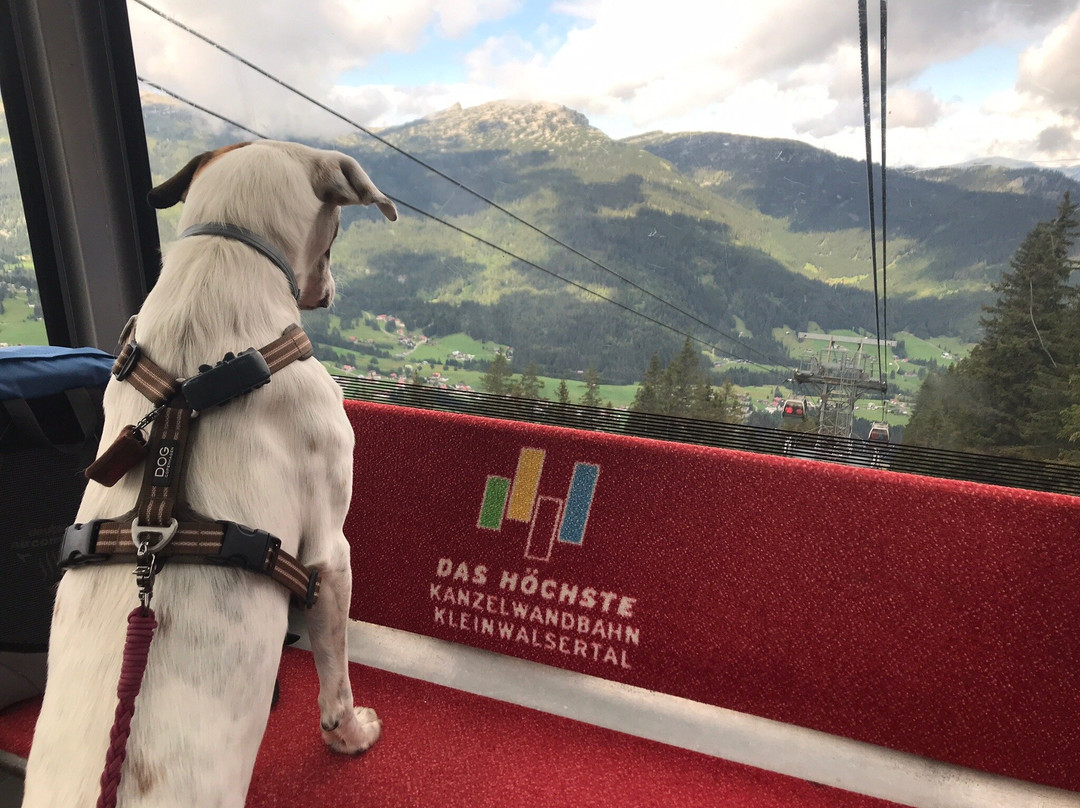 Hotel Alpensonne主图